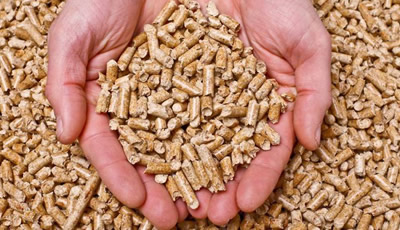 Sistemi a Biomassa: scegli il tuo